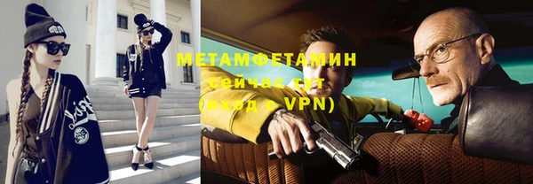 прущие грибы Михайловка