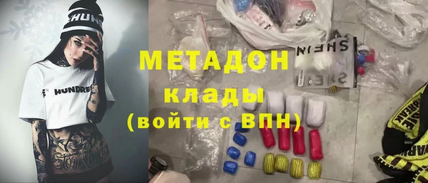 индика Михайловск