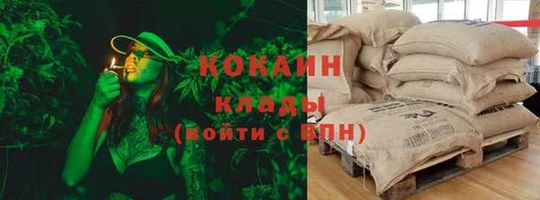 PSILOCYBIN Михайлов