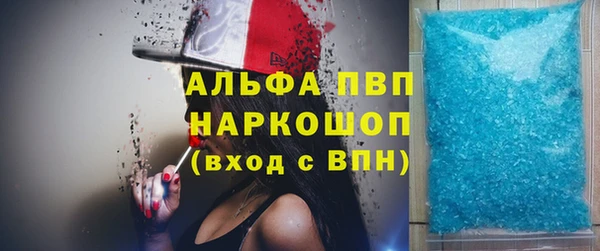 индика Михайловск