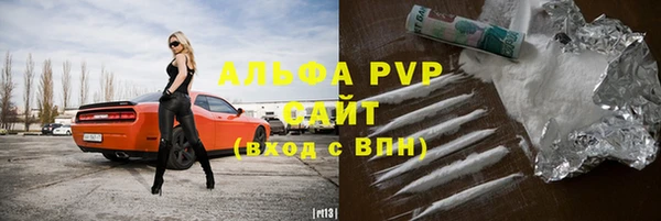 PSILOCYBIN Михайлов