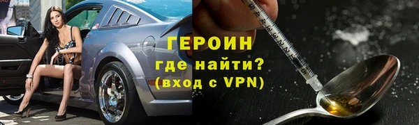 индика Михайловск