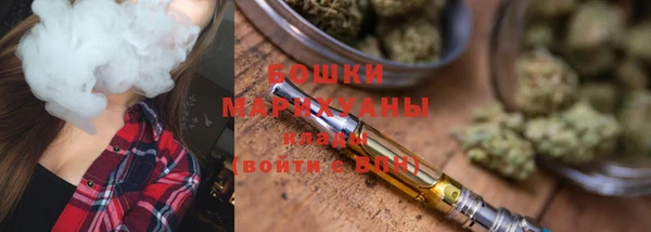 PSILOCYBIN Михайлов