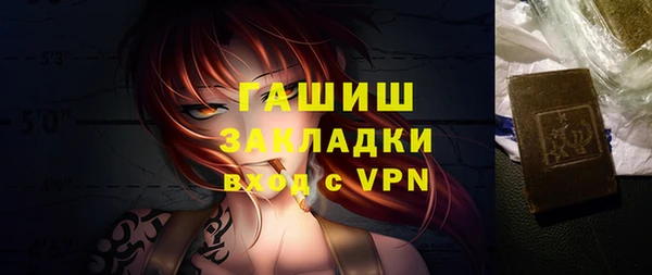индика Михайловск