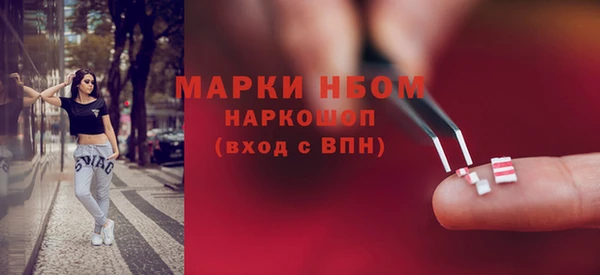 индика Михайловск