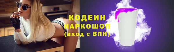 индика Михайловск