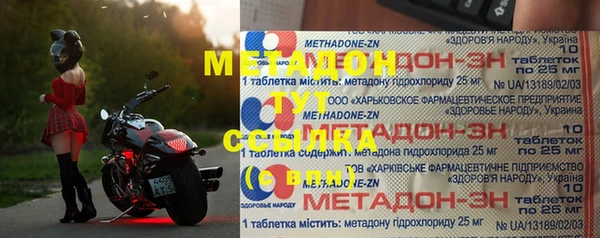 прущие грибы Михайловка