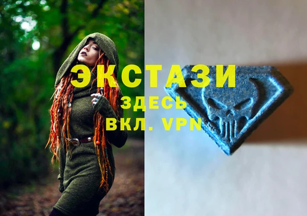 индика Михайловск