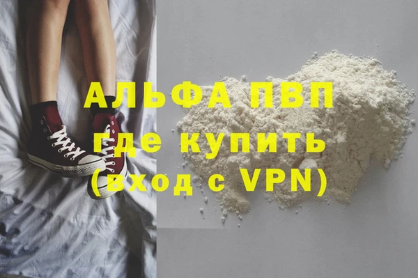 PSILOCYBIN Михайлов