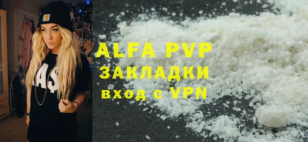 прущие грибы Михайловка