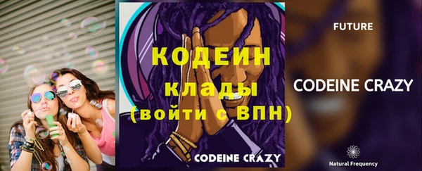 индика Михайловск