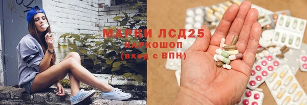 индика Михайловск