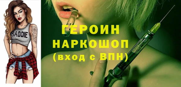 индика Михайловск